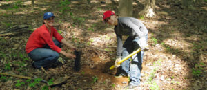 Invasive Management Habitat Restoration At Lake Accotink Park Fairfax