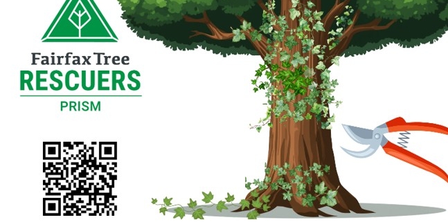 Image Courtesy of Fairfax Tree Rescuers Prism