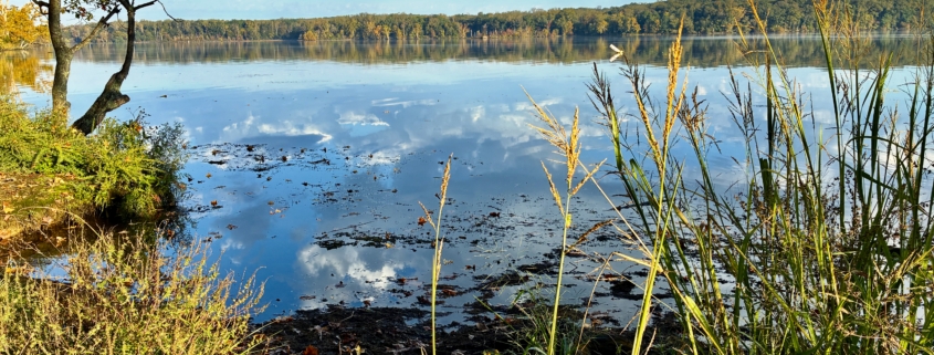 Clean water in Pohick Bay